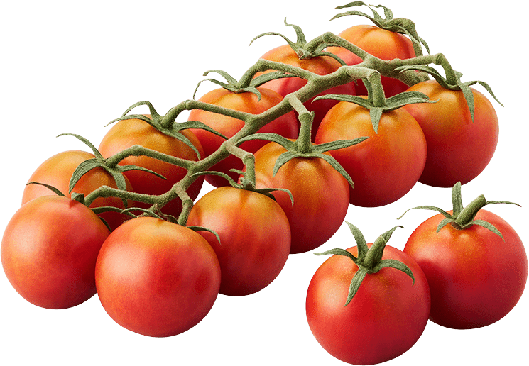 Cherry Tomato ‘Honey 100’ – Premium Sweet Vegetable Seeds (Pack of 100) -Vegetable Seeds