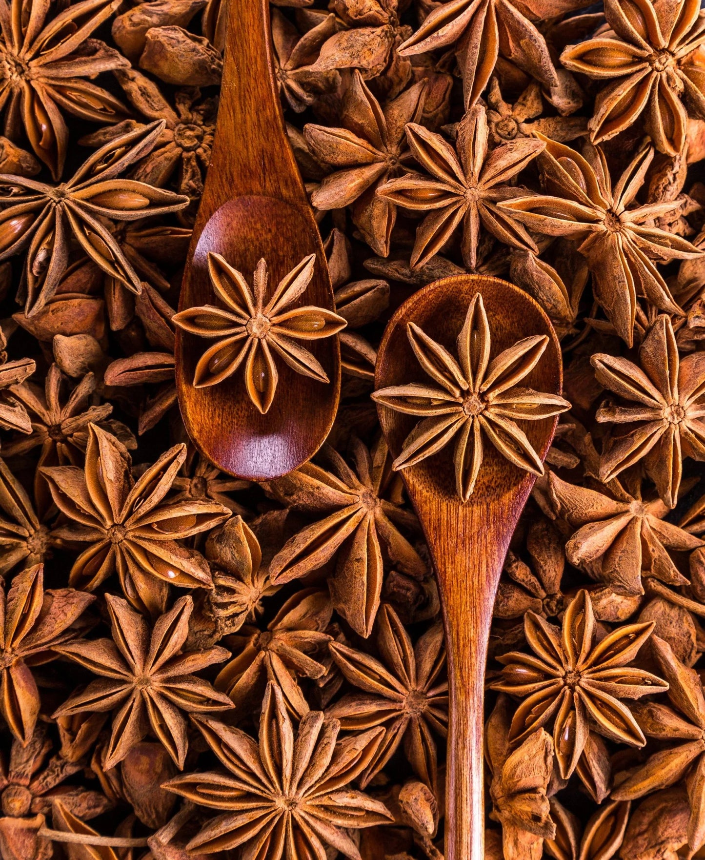 Plants Guru Star Anise (Chakra Phool) Whole 1kg | Premium Naturally Dried Star Anise | No Added Colours | No Added Preservatives | Aromatic Spice for Biryani, Garam Masala, Tea & Cooking