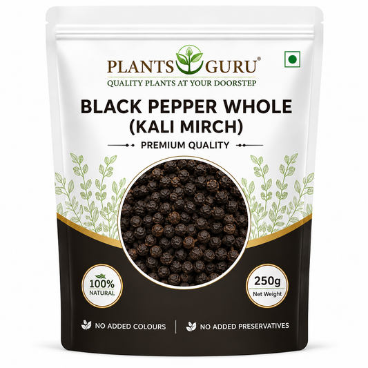 Plants Guru Black Pepper Whole (Kali Mirch) – 250g-Spices