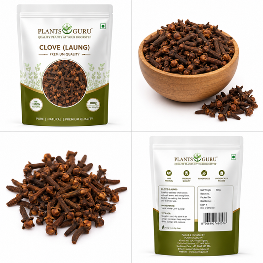 Plants Guru Premium Clove (Laung) – 100g -Spices