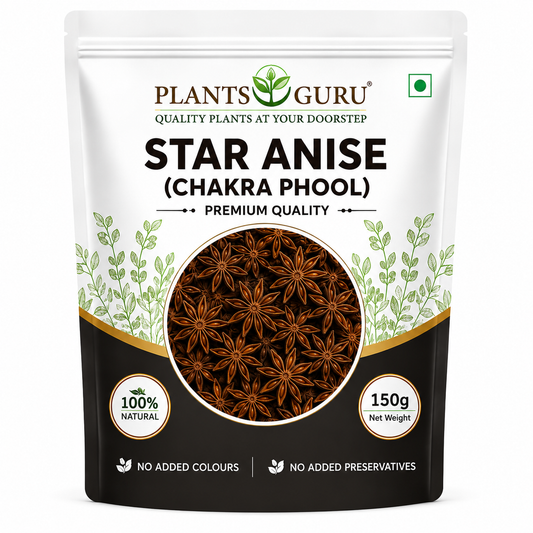Plants Guru Star Anise (Chakra Phool) 150g | Premium Whole Star Anise | Naturally Dried | No Added Colours | No Added Preservatives | Aromatic Spice for Biryani, Curries, Masala & Tea-Spices