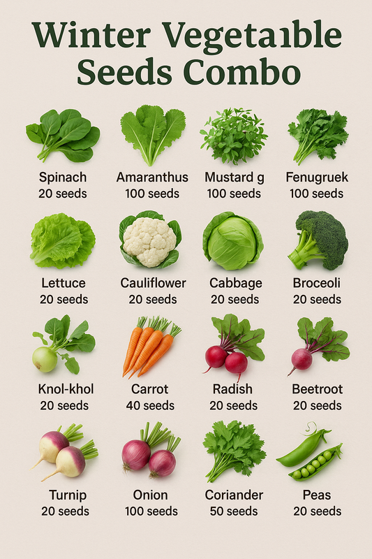 Complete Winter Vegetable Seeds Combo – 16 in 1 Pack 🌱❄️ - Vegetable Seeds