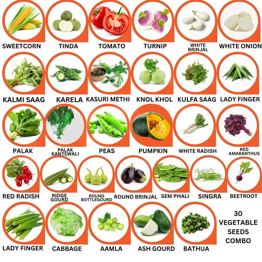 30 Varieties of Vegetable Seeds Combo -Vegetable Seeds Combo Pack