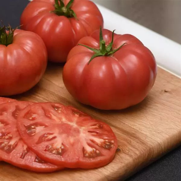 🍅 WonderStar Red – Premium Beefsteak Tomato with Superior Flavor & Disease Resistance (20 Seeds Pack) - Fruit Seeds