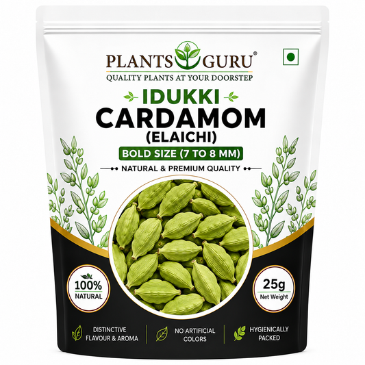 Plants Guru Idukki Green Cardamom (Elaichi) 25g | Bold Size (7–8 mm) | Premium Natural Green Cardamom | Distinctive Flavour & Aroma | No Artificial Colors | Whole Cardamom Pods -Spices (Copy) (Copy)