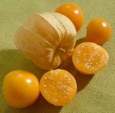 Rare Hybrid Golden Berry  Exotic  Fruit Seeds for Growing (Pack of 30 seeds)