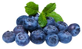 Rare Hybrid Blueberry  Exotic  Fruit Seeds for Growing (Pack of 30 seeds) - Fruit Seeds