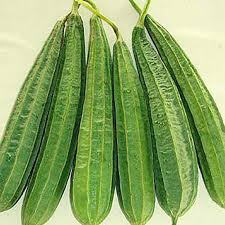 Ridge Gourd (Turai) (20 Seeds) Vegetable Seeds for Home Garden, Organic & Hybrid - Vegetable Seeds