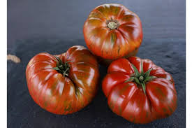 🍅 WonderStar Red – Premium Beefsteak Tomato with Superior Flavor & Disease Resistance (20 Seeds Pack) - Fruit Seeds
