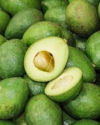 Choquette Avocado Seeds – Pack of 2 - Fruit Seeds