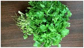 ARKA Samraksha -TFL CORIANDER Hybrid -Vegetable Seeds