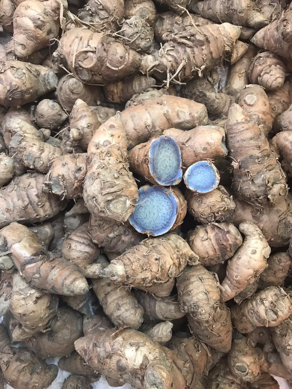 Pure & Original Kali Haldi (Black Turmeric) for Pooja –  250 Grams | Natural & Sacred - Rhizome & Bulbs (Copy)