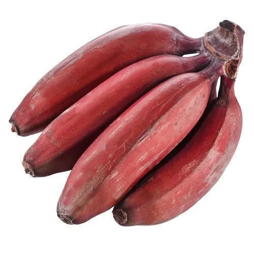 Thai Red Banana – Rare Live Healthy Plant | Original Variety | Tissue-Cultured – 1 Healthy Plant - Fruit Plant