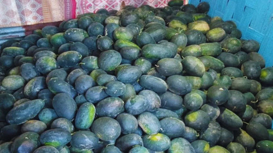ARKA Shyama -TFL WATER MELON Hybrid -Vegetable Seeds