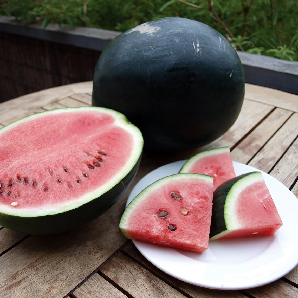 Sugar Baby Watermelon Seeds – Sweet, Juicy, Early-Maturing Variety - Fruit Seeds