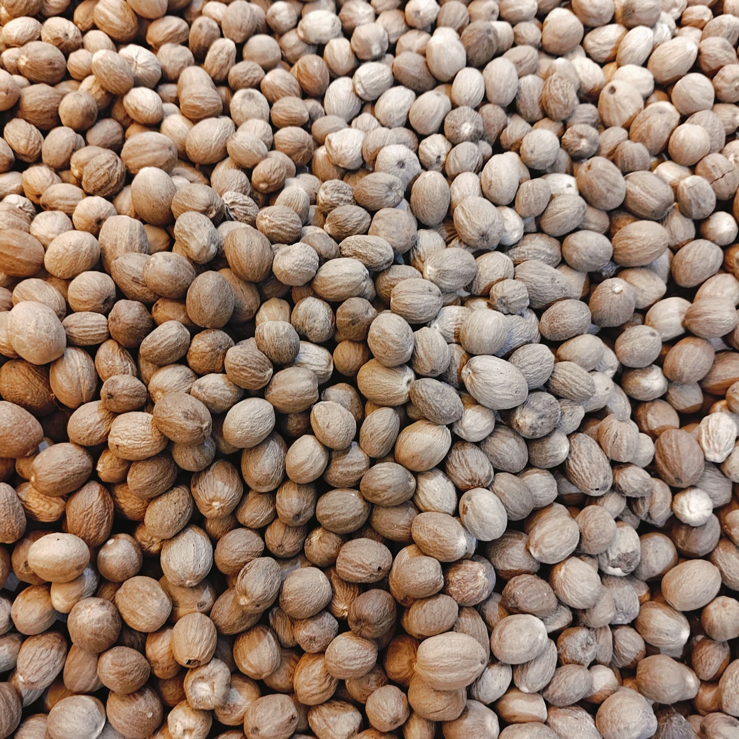Plants Guru Whole Nutmeg (Jaiphal) 100g | Premium Whole Nutmeg | Naturally Dried | No Added Colours | No Added Preservatives | Aromatic Spice for Sweets, Curries, Baking & Masala-Spices